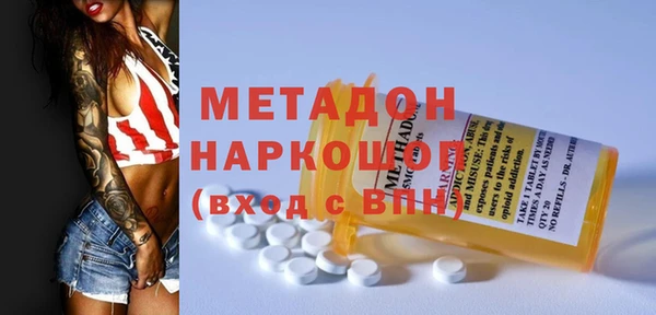 стаф Аркадак