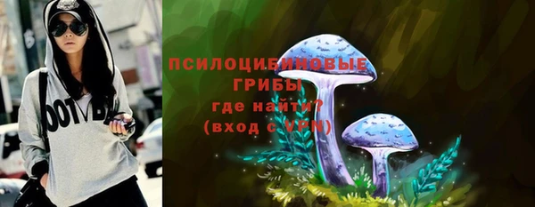 стаф Аркадак