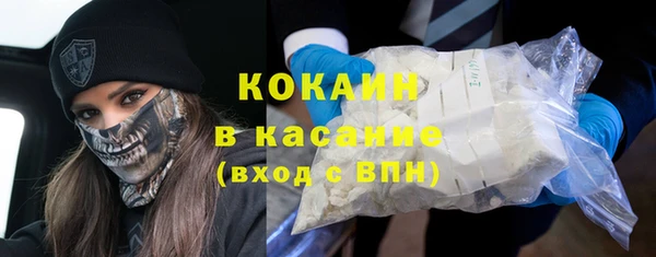 стаф Аркадак