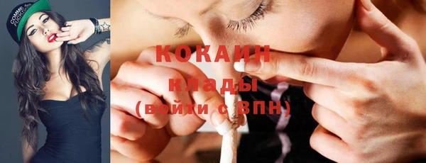 дурь Арсеньев