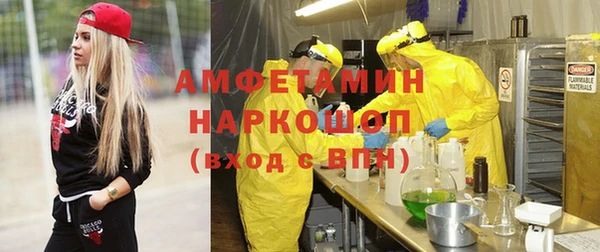 стаф Аркадак
