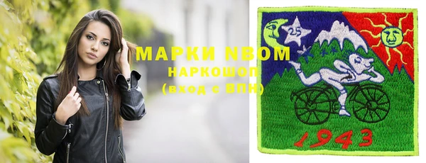 стаф Аркадак