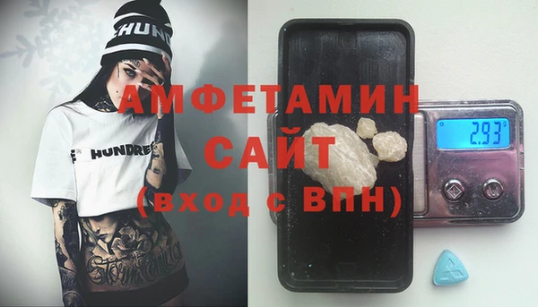 стаф Аркадак