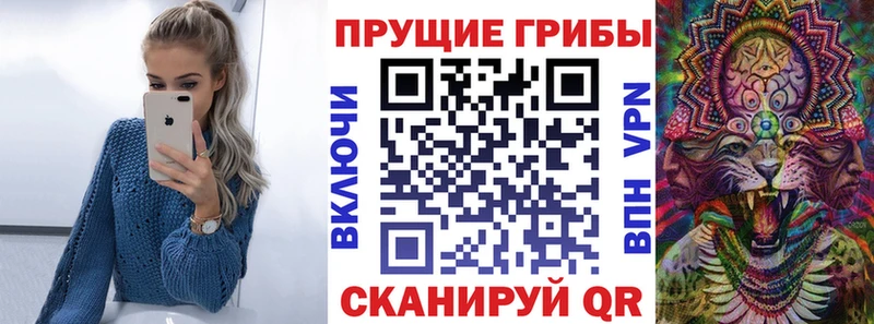 закладка  Талдом  Псилоцибиновые грибы GOLDEN TEACHER 