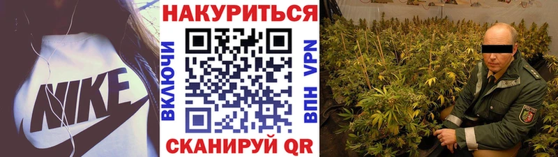 Конопля план  купить  цена  даркнет официальный сайт  Талдом 